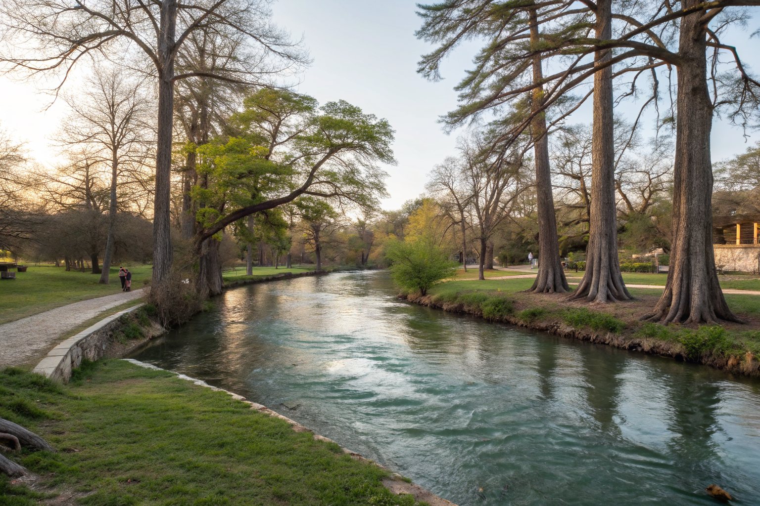 A clear river flowing past tall cypress trees and grassy banks in a quiet park